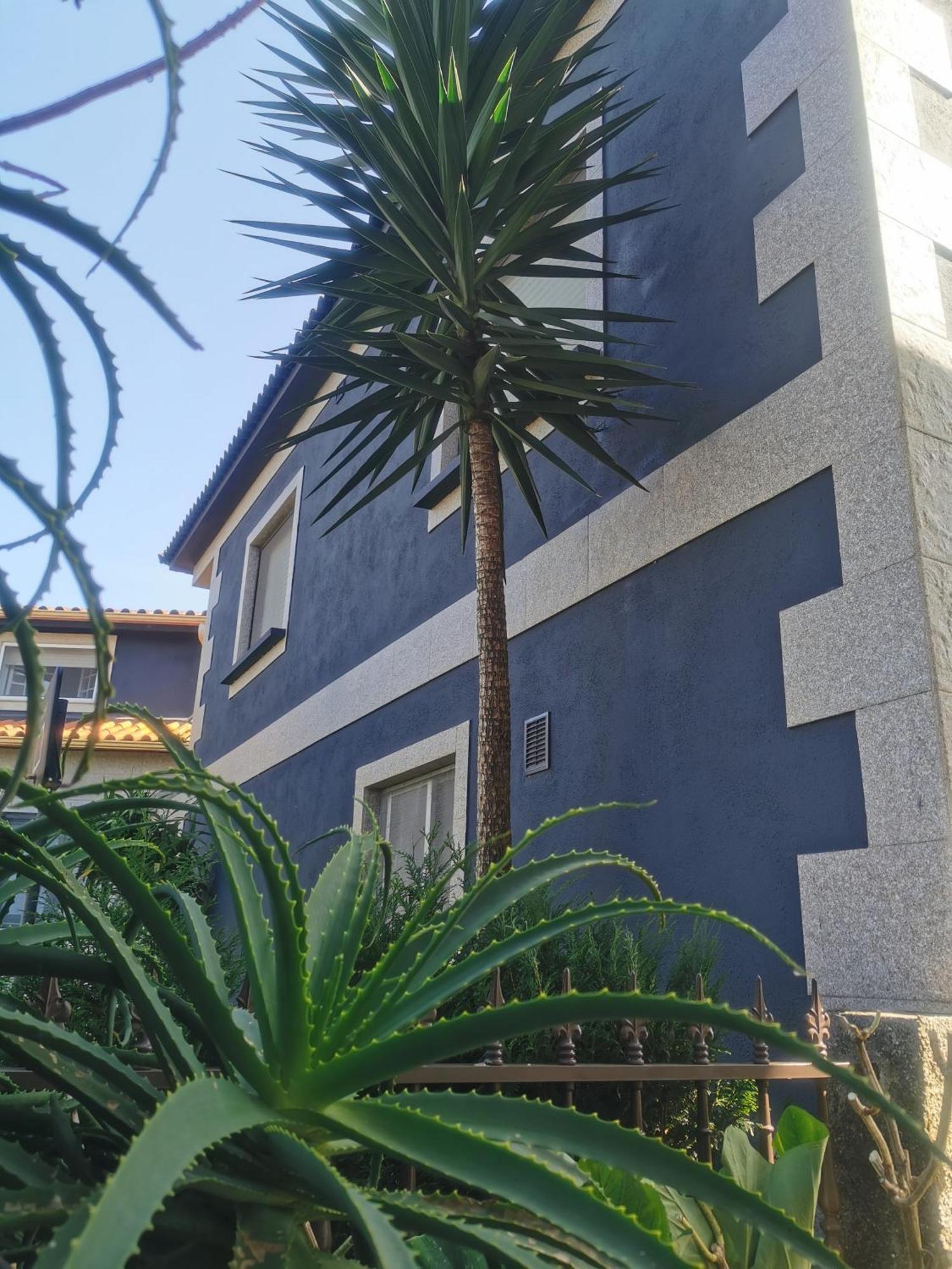 Apartamento Sanxenxo Vilalonga Exterior foto